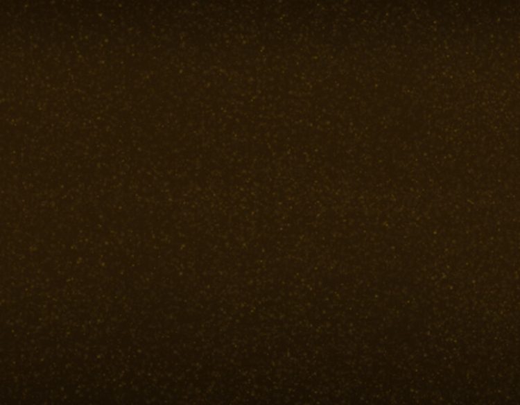 APA Powerjet Satin Metal TUNDRA BROWN auto wrapfolie