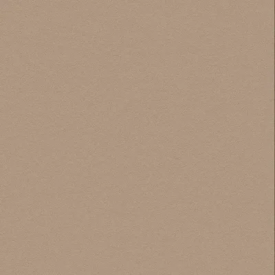 Bodaq PNC41 Aspero Brown Betonlook staal