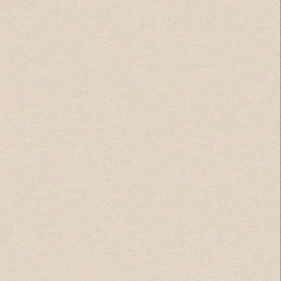 Bodaq PNC42 Aspero White Betonlook staal