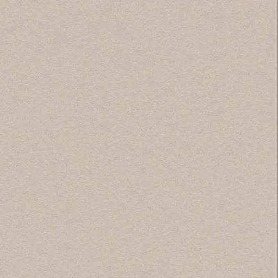 Bodaq PNC43 Aspero Beige Betonlook staal