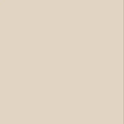 Bodaq SMT03 Silky Mat Light Beige Effen kleur staal