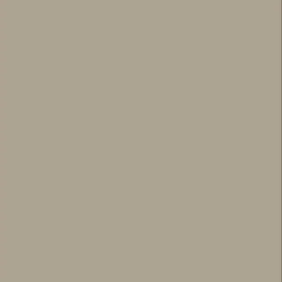 Bodaq SMT04 Silky Mat Dark Beige Effen kleur staal