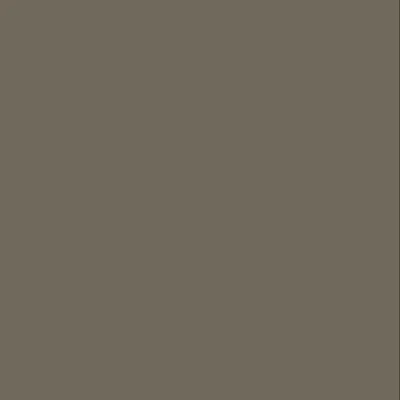 Bodaq SMT14 Silky Mat Light Brown Effen kleur staal