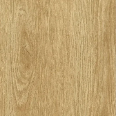 Bodaq SPW17 Calidum Houtlook staal