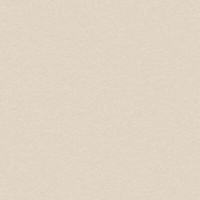 Bodaq PNC42 Aspero White Betonlook interieurfolie