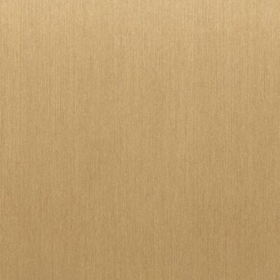 Bodaq RM007 Brushed Gold Metaallook interieurfolie