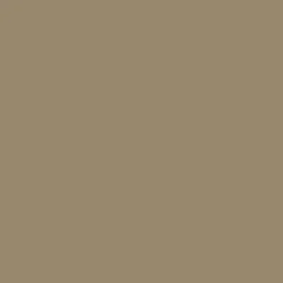 Bodaq S157 Turtle Effen kleur interieurfolie
