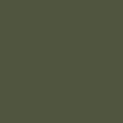 Bodaq S202 Moss Effen kleur interieurfolie