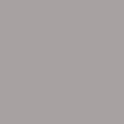 Bodaq S209 Stone Effen kleur interieurfolie