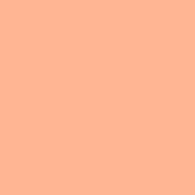 Bodaq S213 Salmon Effen kleur interieurfolie