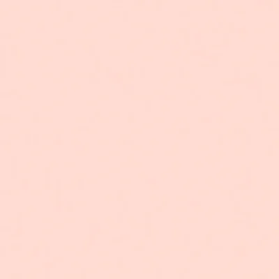 Bodaq S217 Piggy Effen kleur interieurfolie