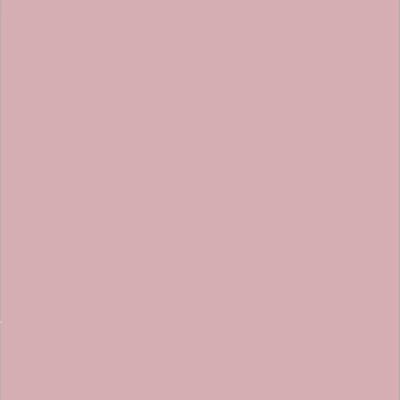 Bodaq S238 Rose Effen kleur interieurfolie